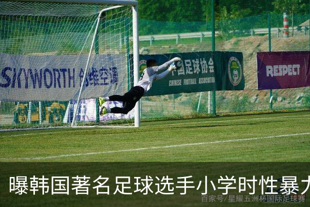 曝韩国著名足球选手小学时性暴力后辈 寄诚庸热搜