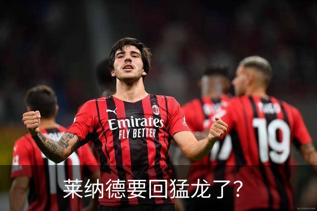 莱纳德要回猛龙了？